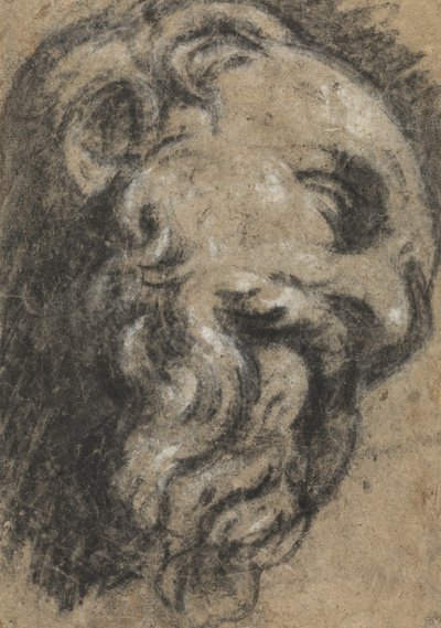 Studie nach Michelangelos Heiliger Damian, ca. zwischen 1545 und 1550 (schwarze Kreide, mit Weiß auf beigem Papier gehöht) von Jacopo Robusti Tintoretto